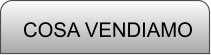 COSA VENDIAMO